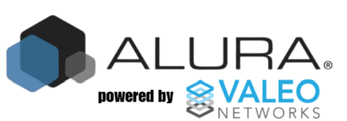 SN by VN (500 x 250 px)