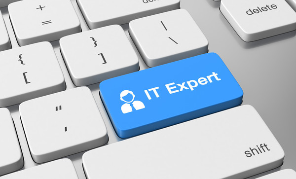 Calling in an Expert: The Top 5 Benefits of Hiring an IT Consultant