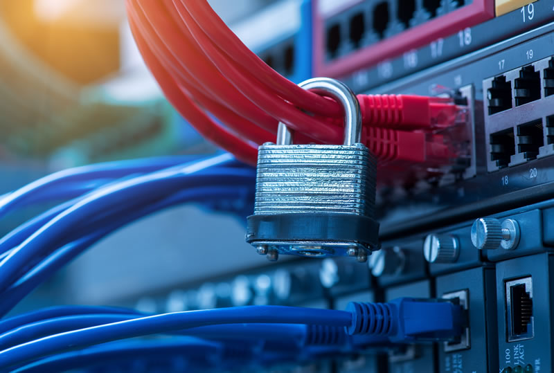Shielding Your Business: The Critical Role of Network Protection